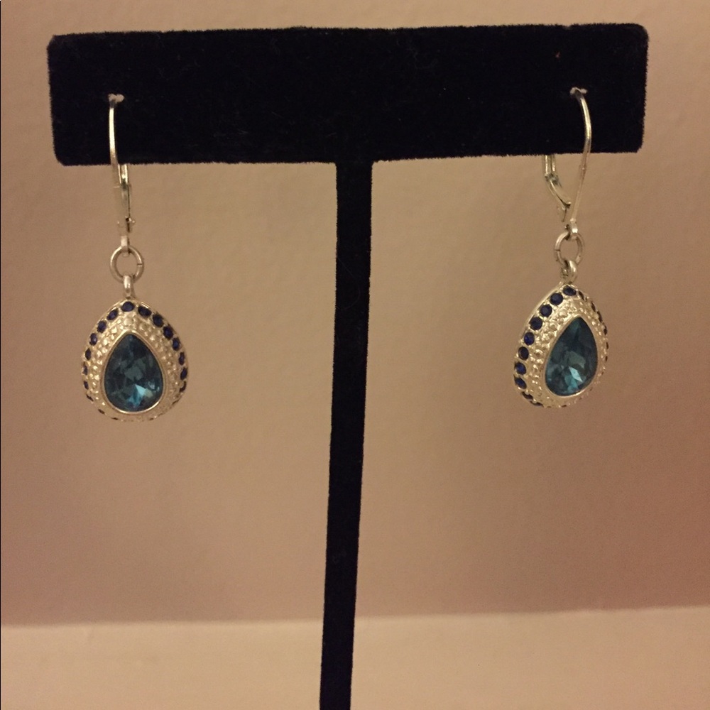 Silver Blue Stone Earrings